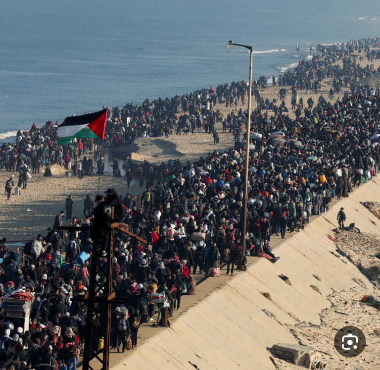 Read more about the article الأمم المتحدة: عدد النازحين في غزة منذ آذار بلغ أكثر من 796 ألف شخص
